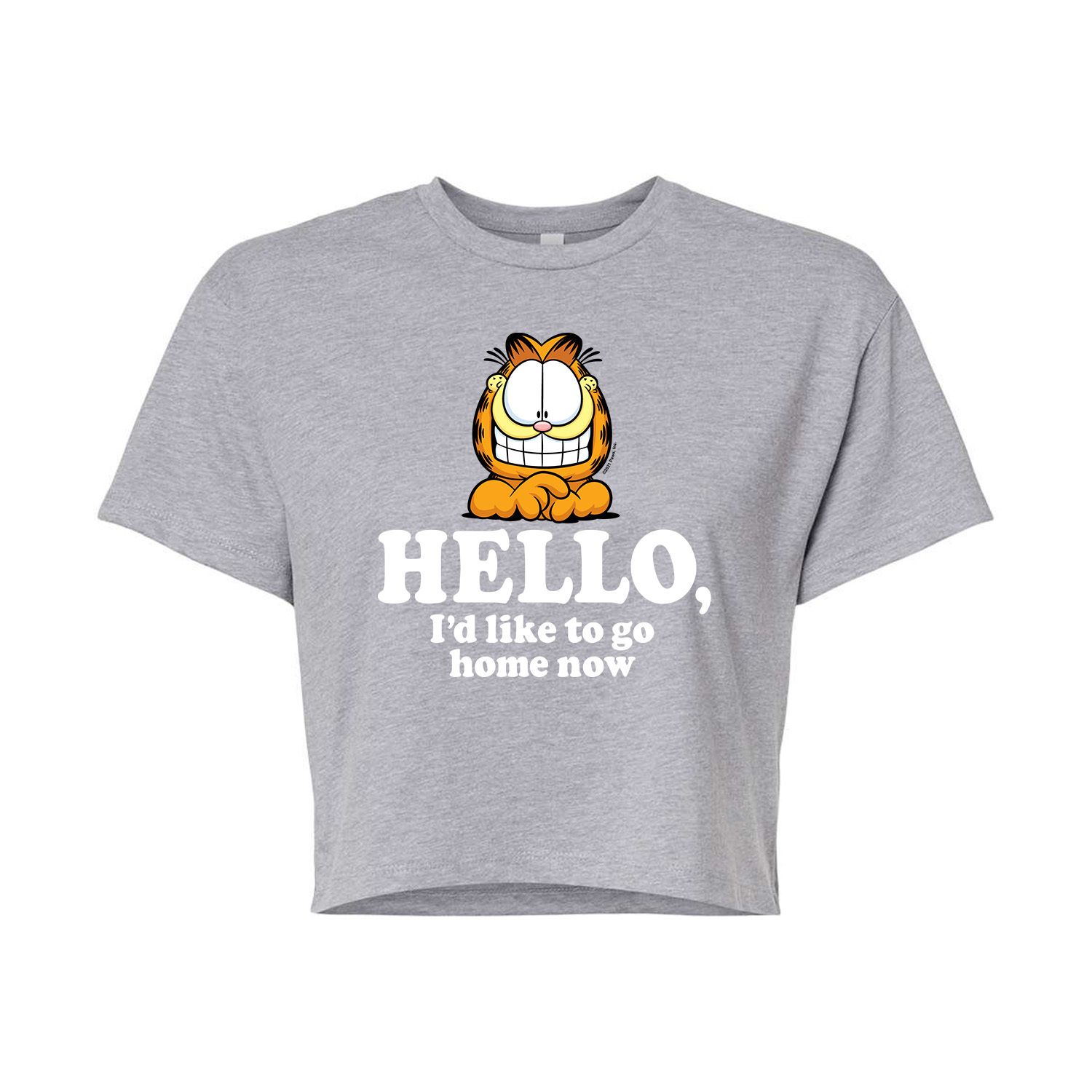 Укороченная футболка Garfield Go Home для юниоров Licensed Character