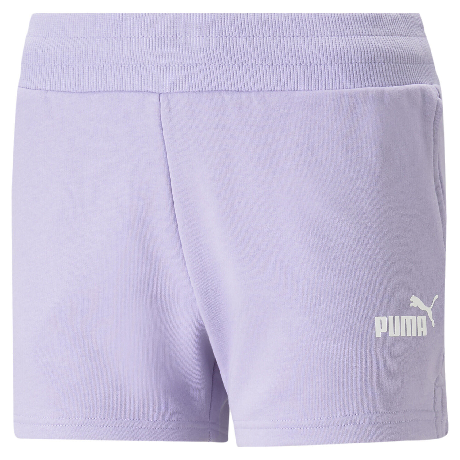 

Женские спортивные шорты Essentials PUMA, фиолетовый/фиолетовый