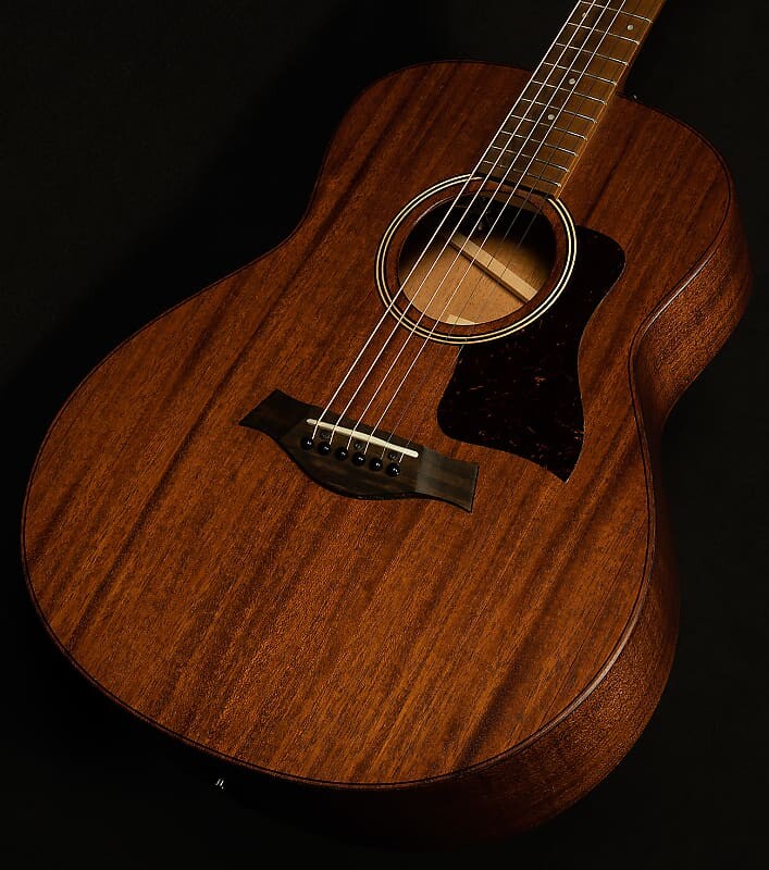 

Taylor Guitars Wildwood and Steel GTe Mahogany