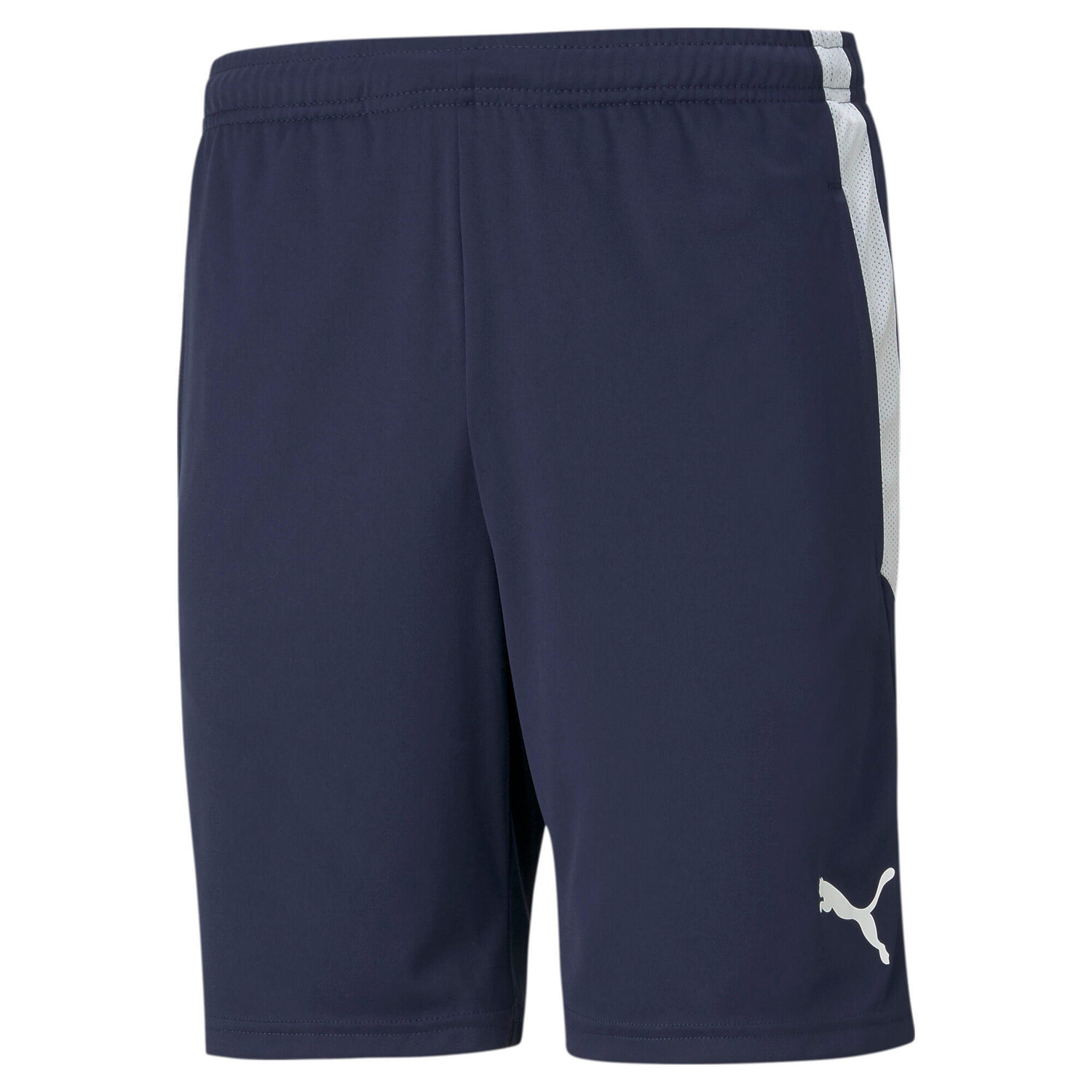 

Короткая тренировка Puma Team League, синий/синий/белый