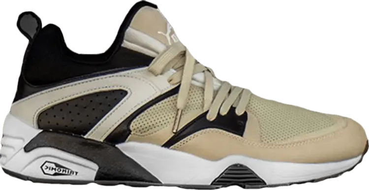 

Кроссовки Puma Monkey Time x Blaze of Glory Secular Change, загар