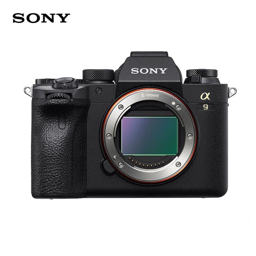 

Фотоаппарат Sony Alpha 9 II Single Body （ILCE-9M2/A9M2）