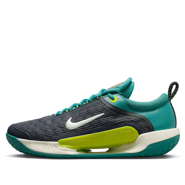 

Кроссовки Nike Zoom Court NXT HC DV3276-300, зеленый