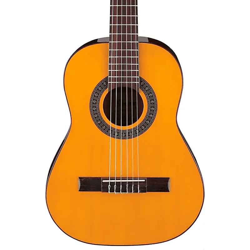 

Ibanez GA1
