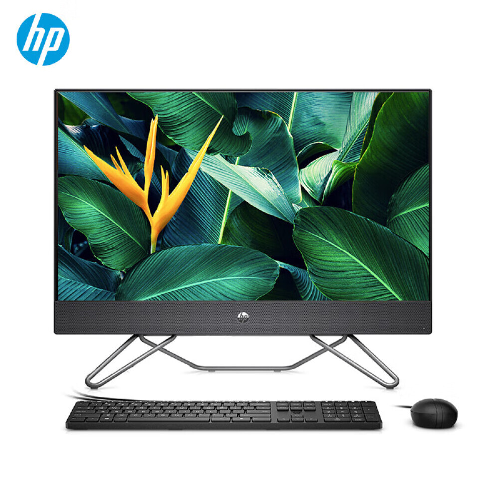 

Моноблок HP Zhan 66 Ryzen 23,8" AMD R5-5500U