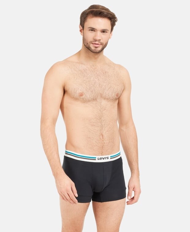 

Боксеры, комплект из 4 шт. Levi's, синий