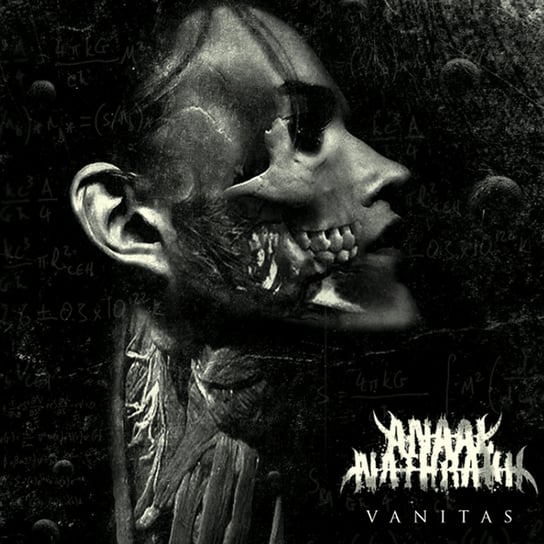 Виниловая пластинка Anaal Nathrakh - Vanitas виниловая пластинка anaal nathrakh hell is empty and all the devils are here 0039841577112