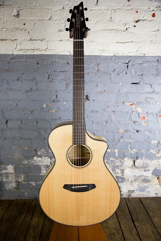 

Концерт Breedlove в Орегоне, CE Oregon Concert CE