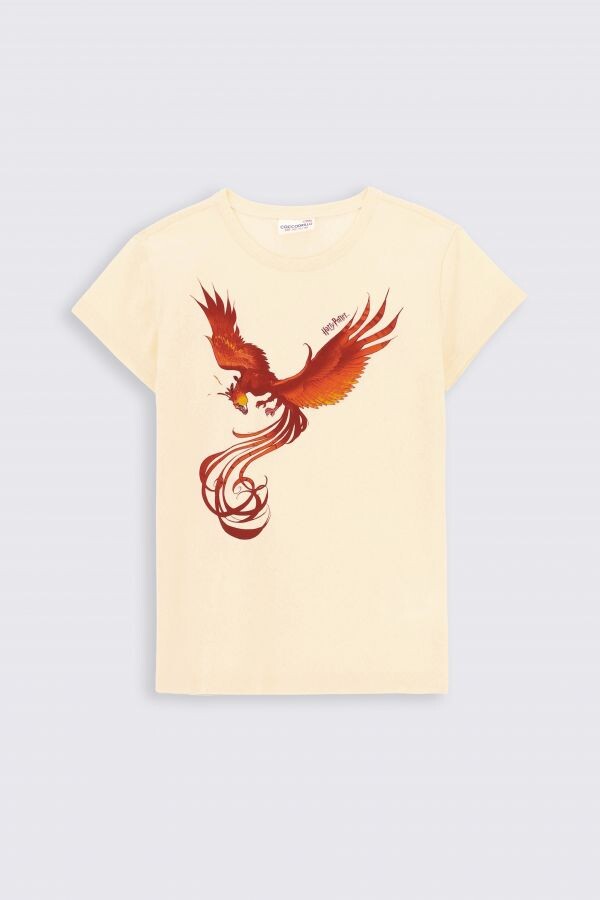 

Футболка с короткими рукавами Coccodrillo Harry Potter, экрю