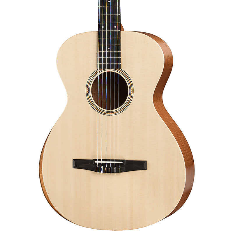 

Совершенно новая Академия 12e-N, нейлон Taylor Brand New 12e-N