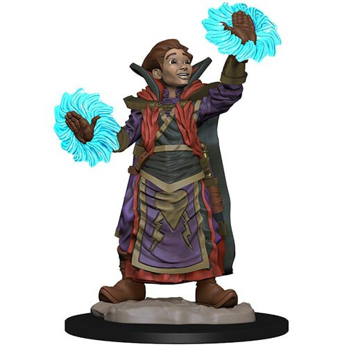 

Миниатюра WizKids/NECA Wardlings: Boy Wizard & Imp