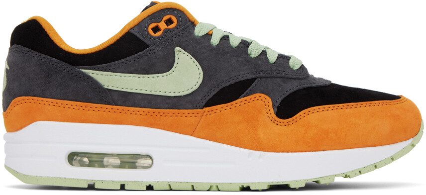

Разноцветные кроссовки Air Max 1 PRM Nike