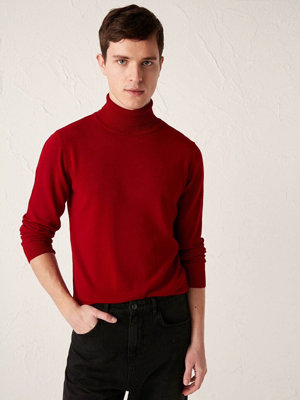 

Тонкий трикотажный свитер с высоким воротником LCW Casual