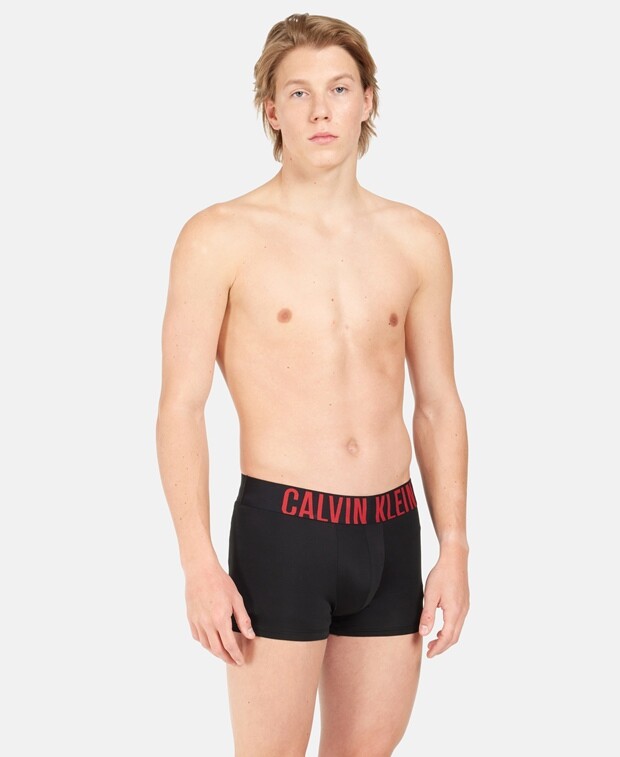 

Боксеры, комплект из 3 шт. Calvin Klein, серый