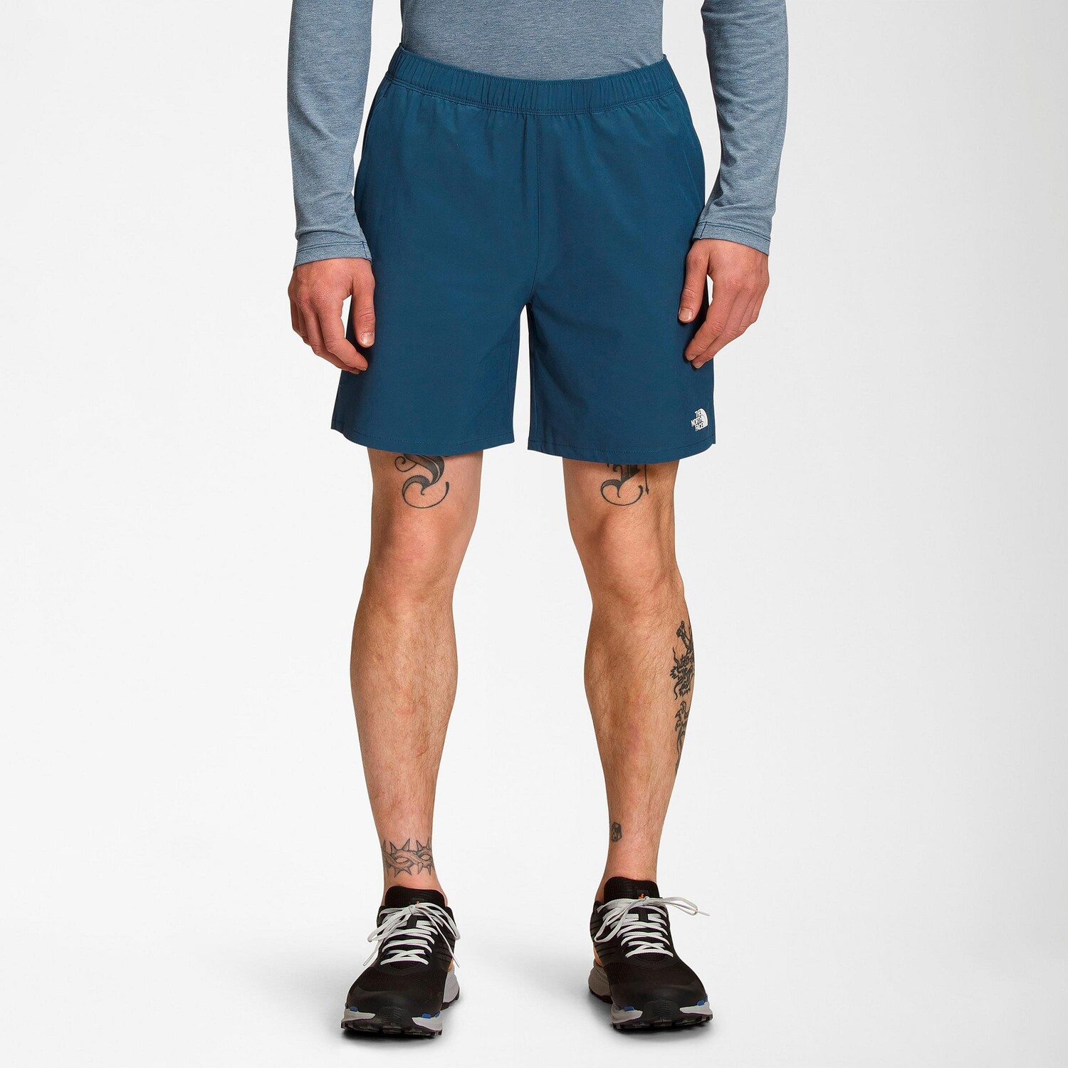

Мужские шорты The North Face Wander, синий
