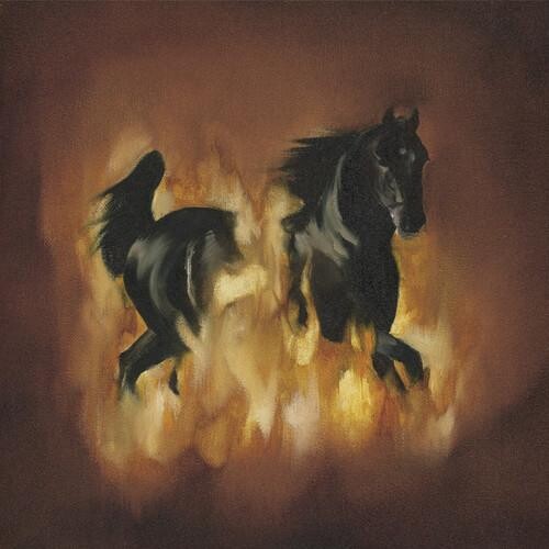 

Виниловая пластинка Besnard Lakes - Besnard Lakes Are The Dark Horse