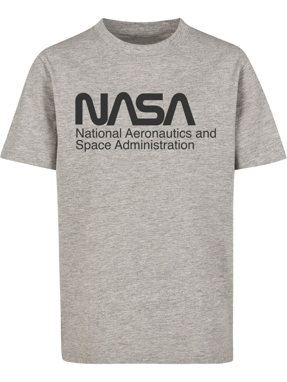 

Футболка F4Nt4Stic NASA, серый