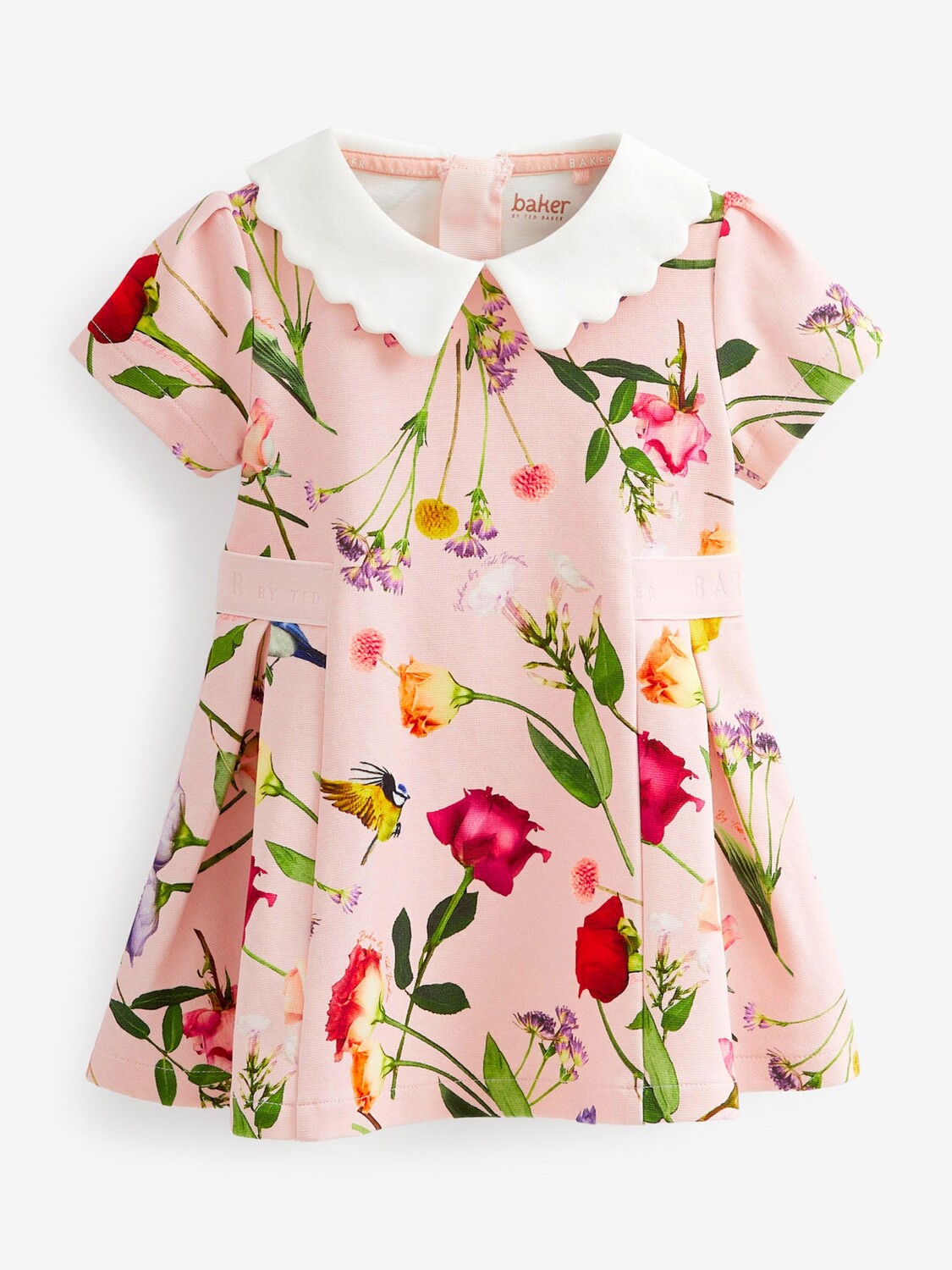 

Платье Baby с цветочным принтом и зубчатым воротником из понте Ted Baker, розовый/мульти