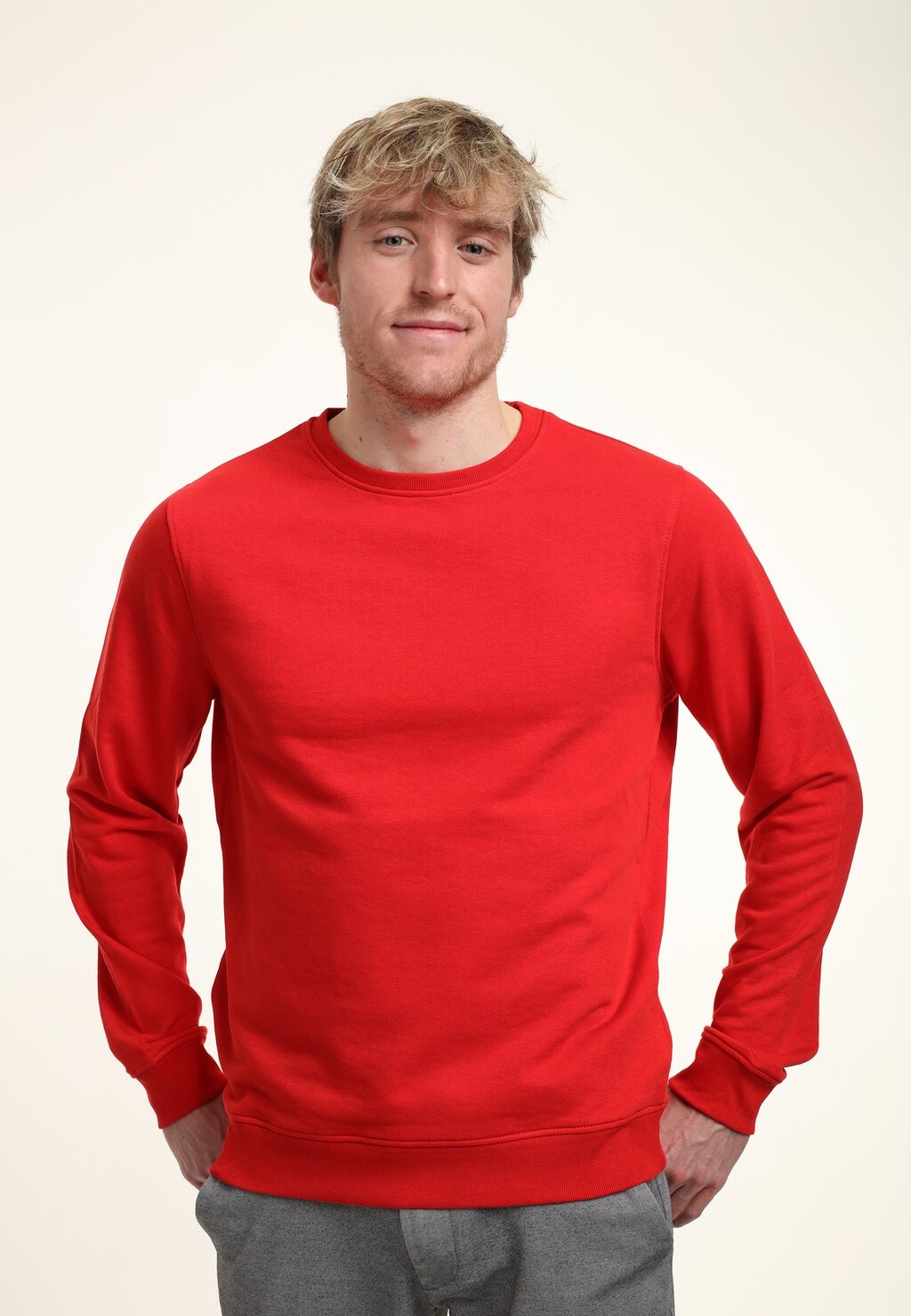 

Толстовка Regular Fit Crewneck Henry Tiger, красный