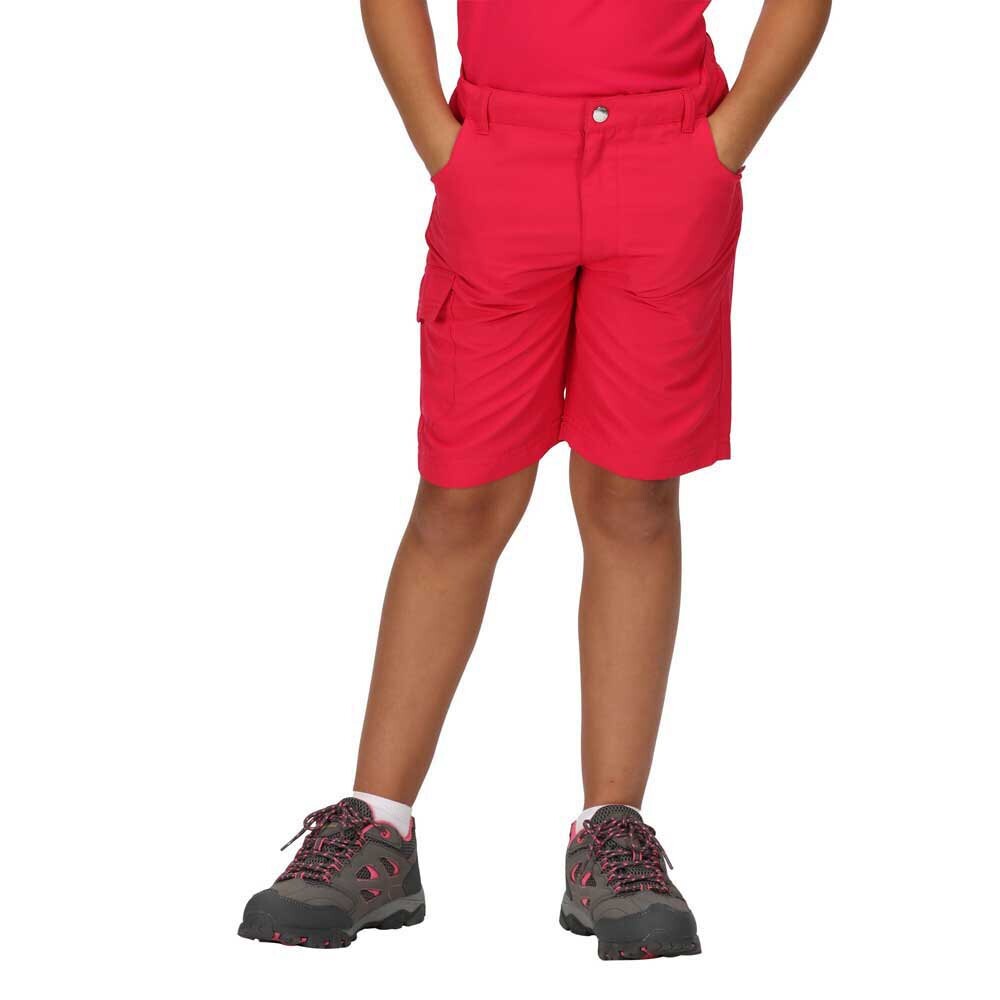 

Шорты Regatta Sorcer II Shorts Pants, розовый