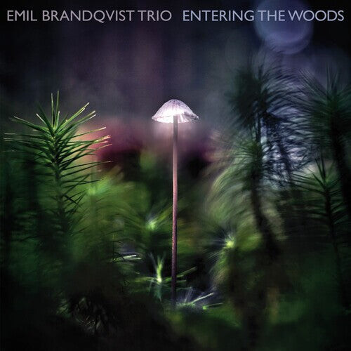 

CD диск Brandqvist, Emil: Entering The Woods