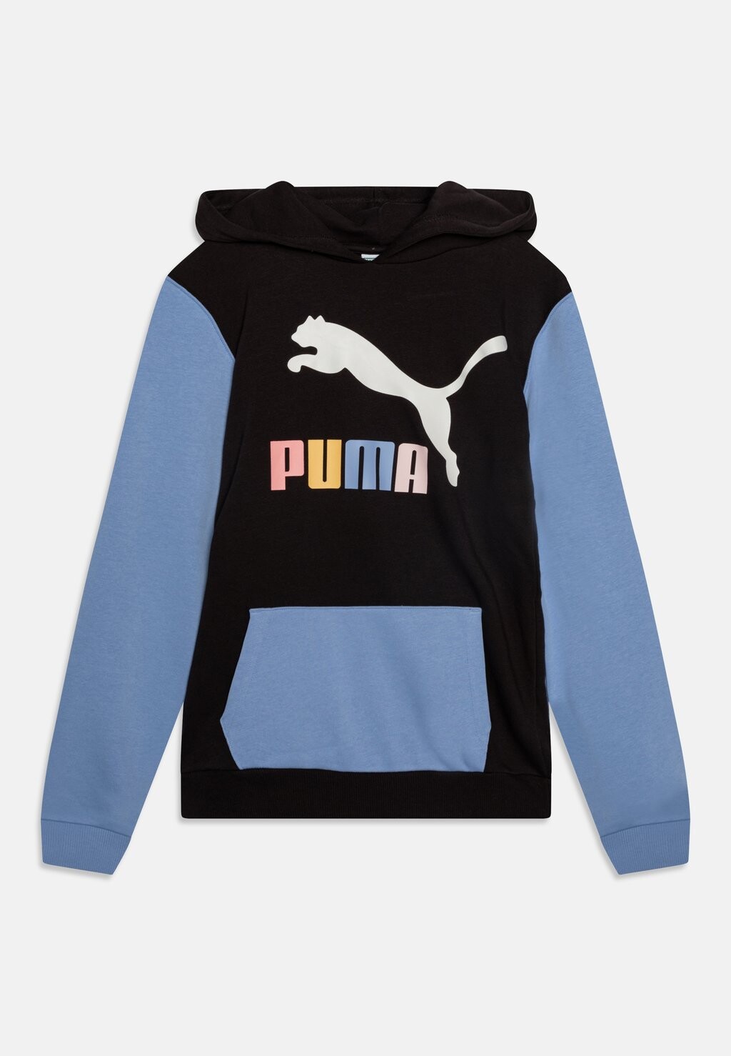 

Толстовка Classics Logo Hoodie Unisex Puma, черный