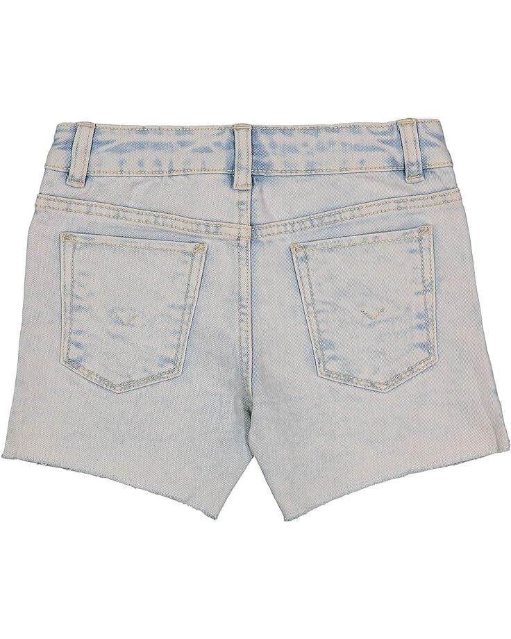 

Шорты Hudson Cutoffs Side Vent Shorts, цвет Max Fade