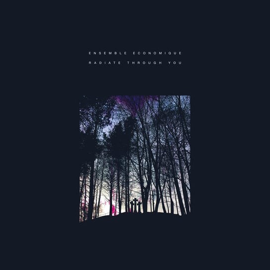 

Виниловая пластинка Ensemble Economique - Radiate Through You