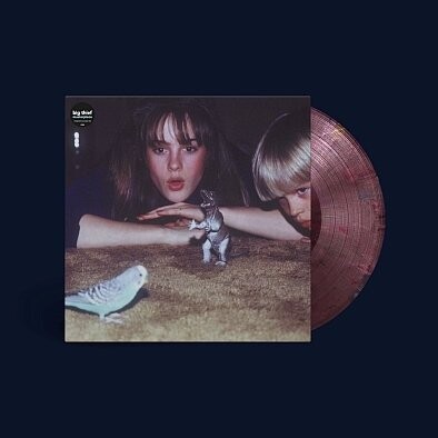 

Виниловая пластинка Big Thief - Masterpiece (Remastered)