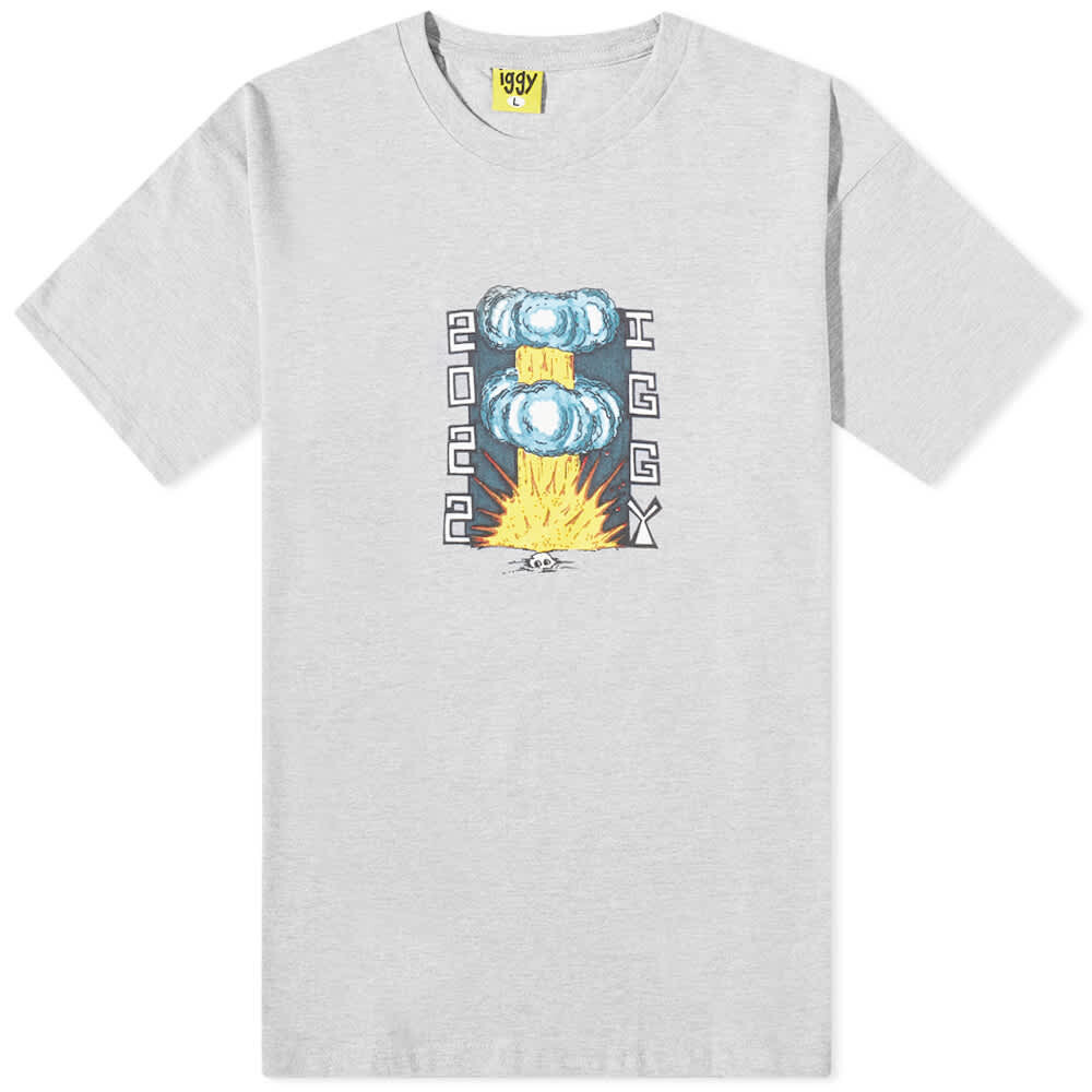 

Футболка IGGY End of World Tee, Серый