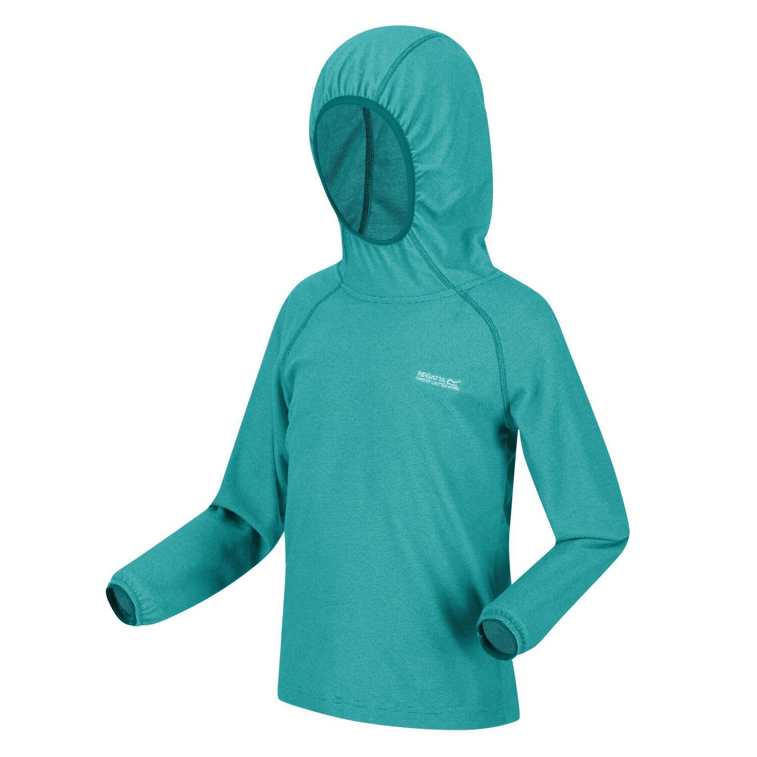 

Толстовка Regatta Loco Pull-On Walkingfleece, бирюзово-синий