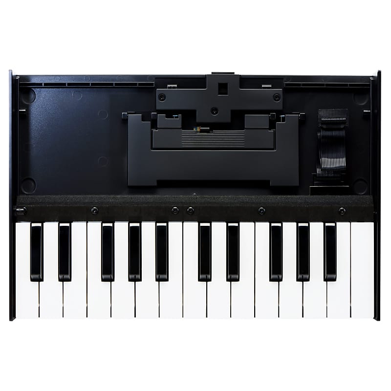 Портативная клавиатура Roland Boutique K-25m Boutique K-25m Portable Keyboard - фото