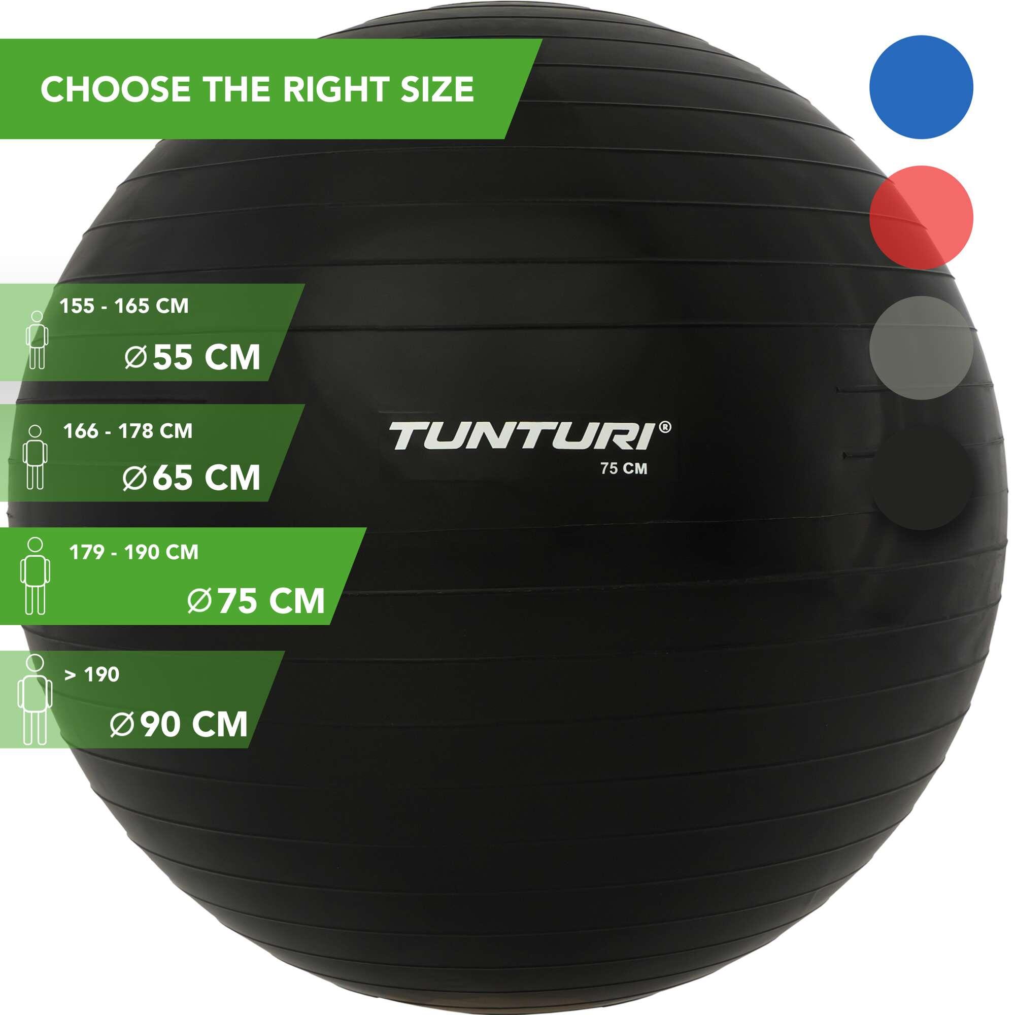 Мяч для фитнеса - мяч для упражнений - швейцарский мяч - с насосом TUNTURI, черный черный мяч для стингинга из пвх массаж акупунктура мяч для захвата гвоздь для ногтей мяч для йоги мяч для фитнеса мяч для ежа