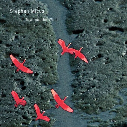 

CD диск Micus, Stephan: Towards the Wind