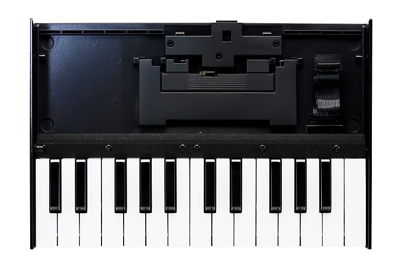 

Клавиатурный блок Roland K-25m Roland K-25m Keyboard Unit