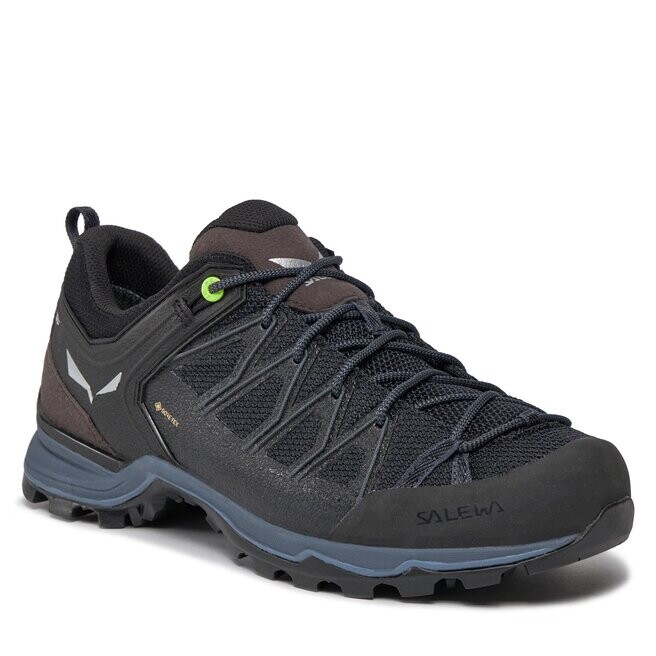 

Кроссовки Salewa Mtn Trainer, черный