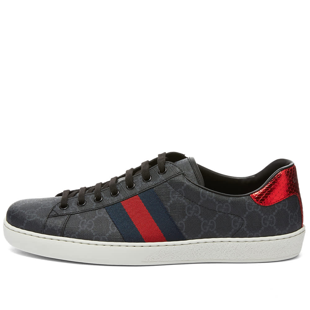 Gucci deals sneakers supreme