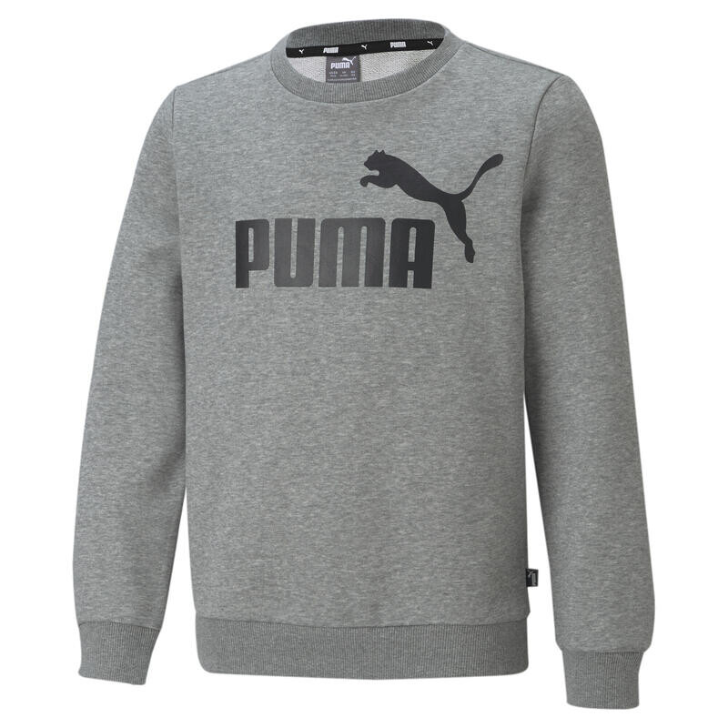 

Толстовка Essentials с большим логотипом для мальчиков PUMA Medium Grey Heather