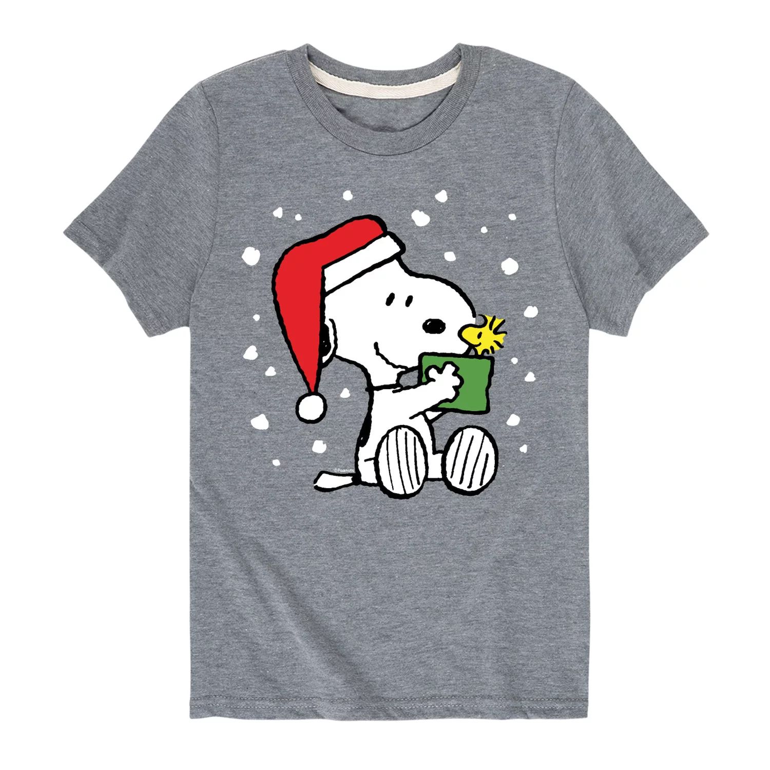 футболка с рисунком the polar express первый рождественский подарок для мальчиков 8–20 лет licensed character Футболка «Рождественский подарок с арахисом» для мальчиков 8–20 лет Licensed Character, серый