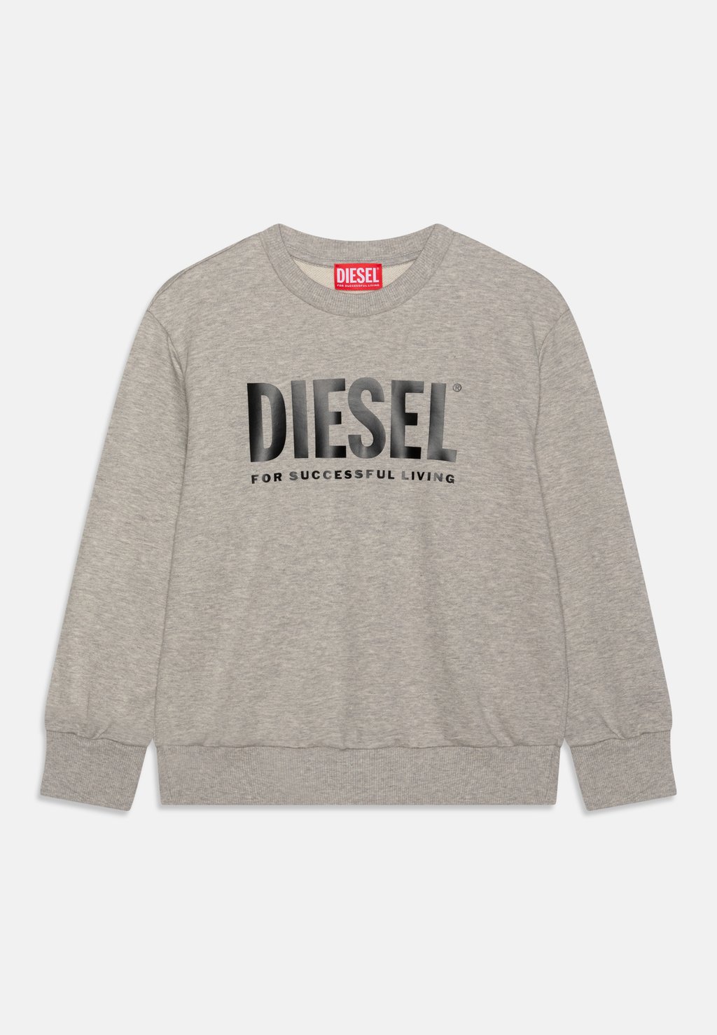 Толстовка Lsfort Of Over Unisex Diesel, цвет grigio melange nuovo nuovo checksum 2022 kess