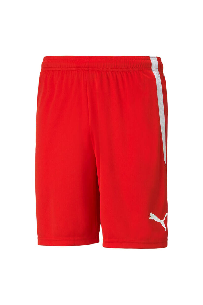 

Шорты TeamLIGA Puma, красный