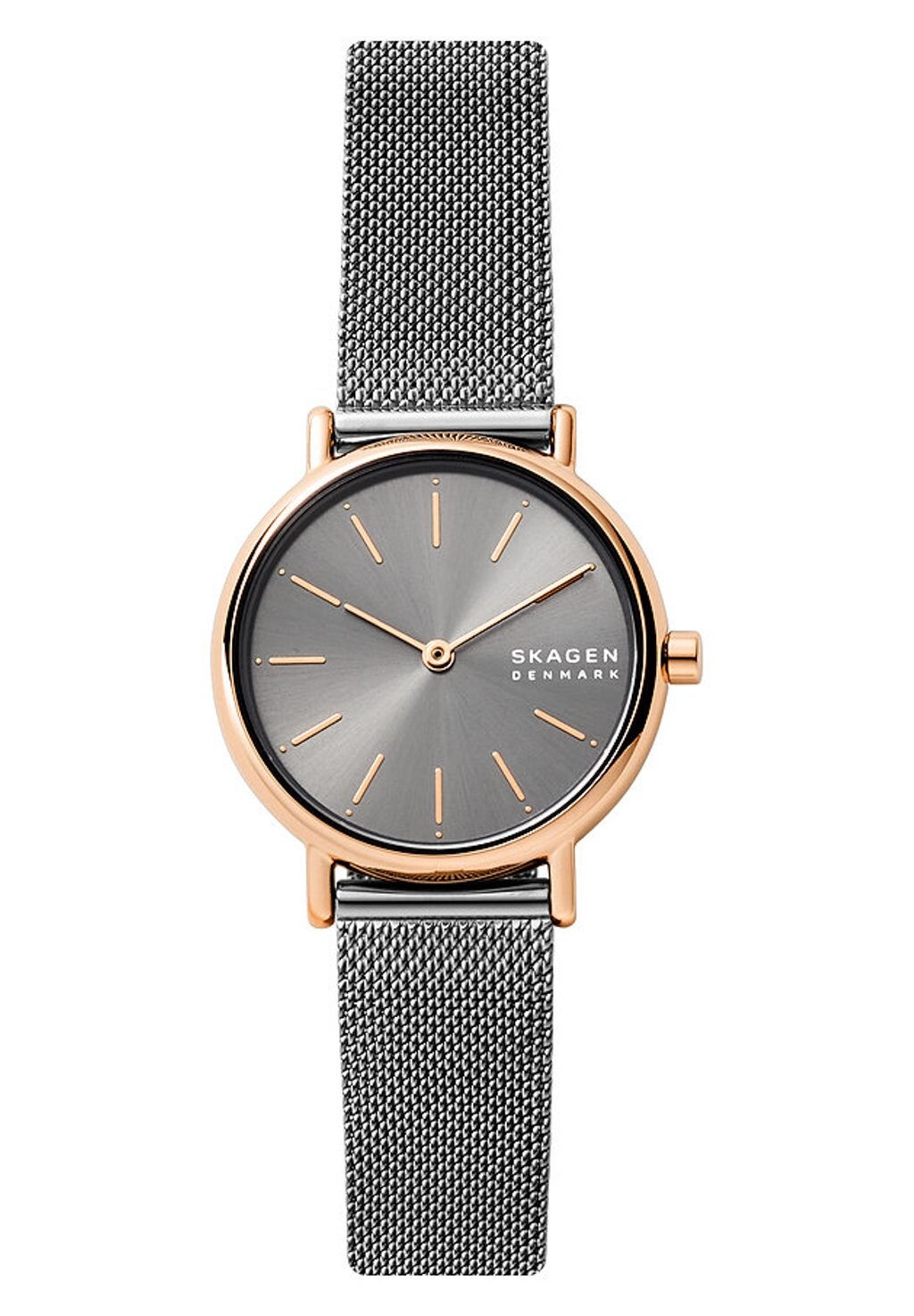 

Часы Skagen