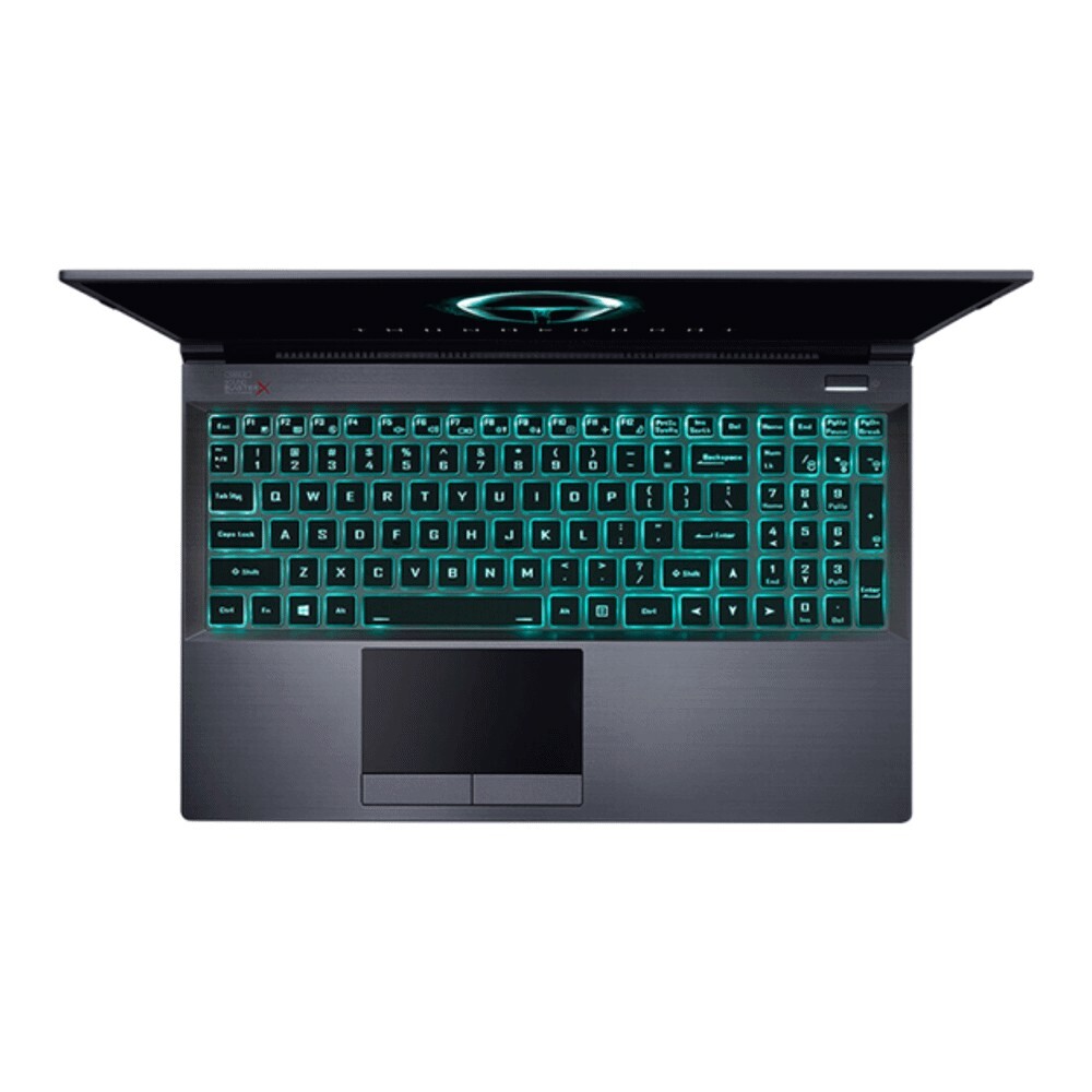 

Ноутбук ThundeRobot 911P1 15.6" WQHD, 16ГБ/512ГБ, i7-11800H, RTX 3070, черный, английская клавиатура