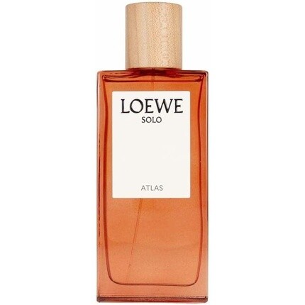 

Парфюмерная вода Loewe Solo Atlas 100 мл