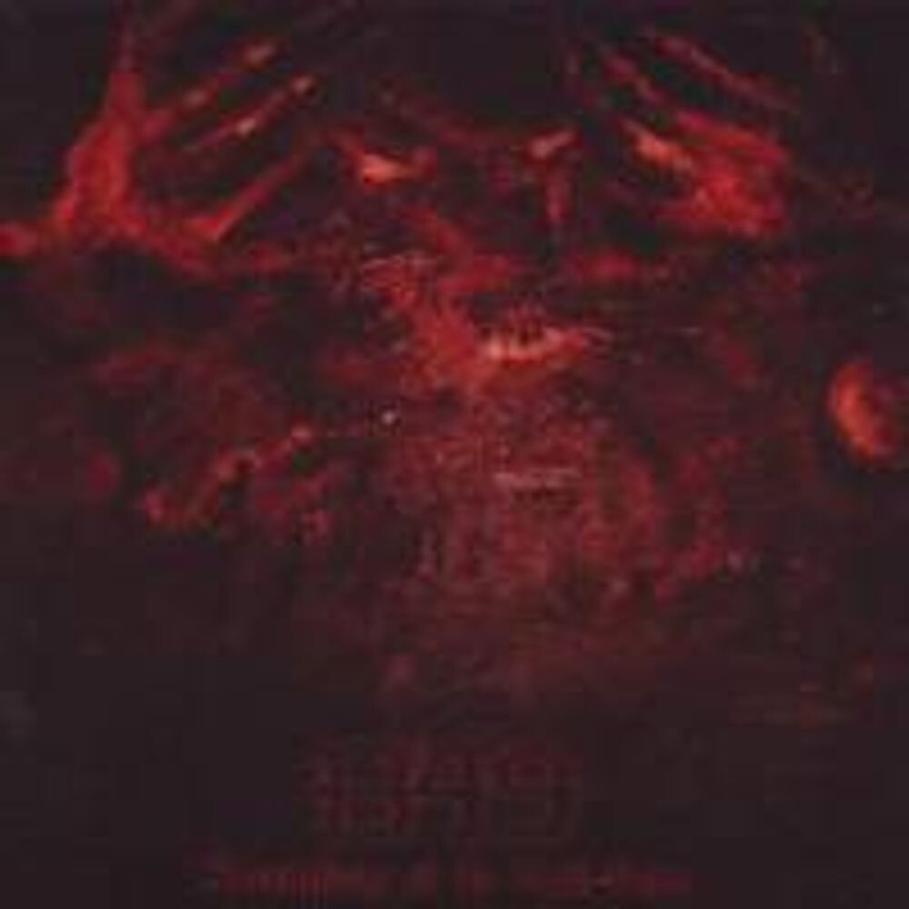 

Диск CD Revelations Of The Black Flame - 1349