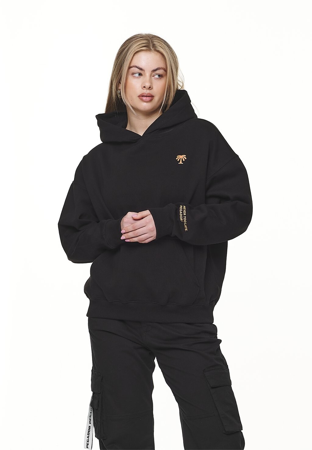 

Толстовка PALMYRA OVERSIZED HOODIE Pegador, цвет black