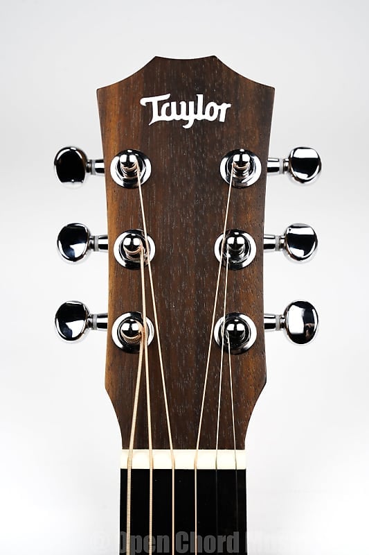 Deluxe taylor 2024 gig bag