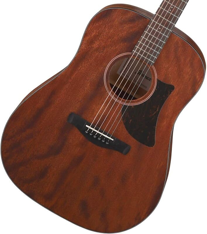 

Ibanez AAD140 Advanced 6-String Acoustic Guitar (Open Pore Natural)