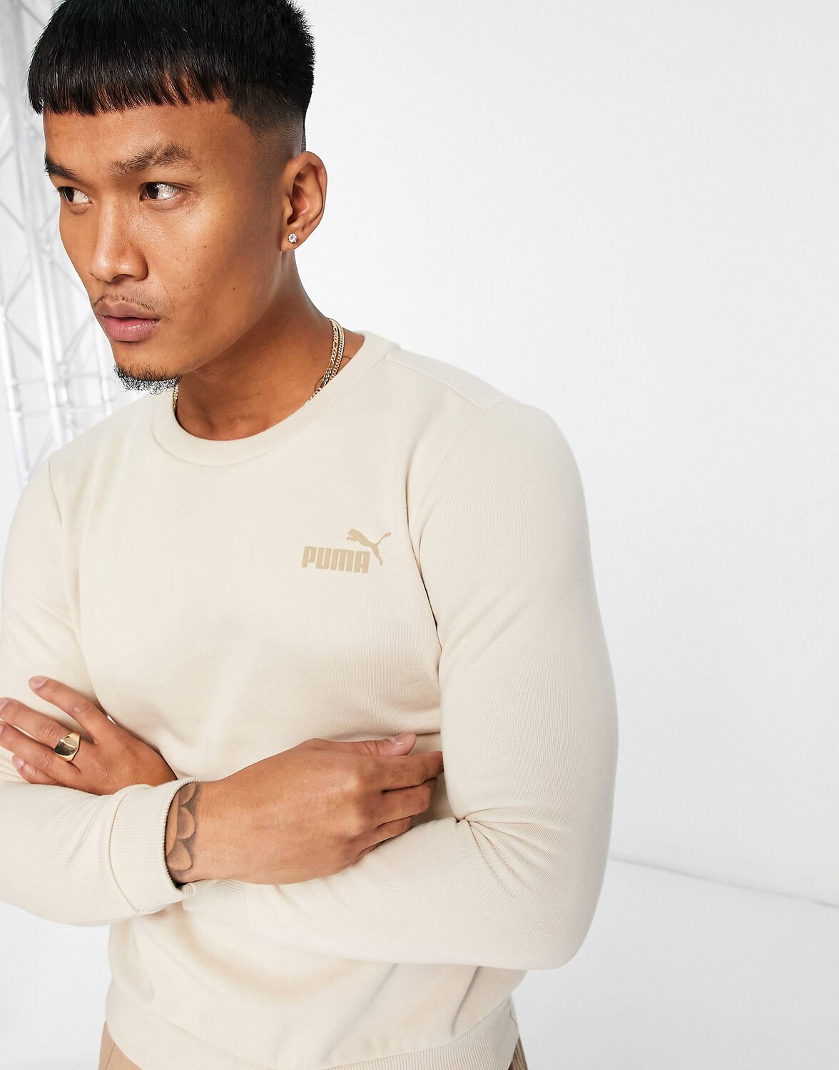 

Мужская толстовка Puma Essentials Small Logo, кремовый, Бежевый