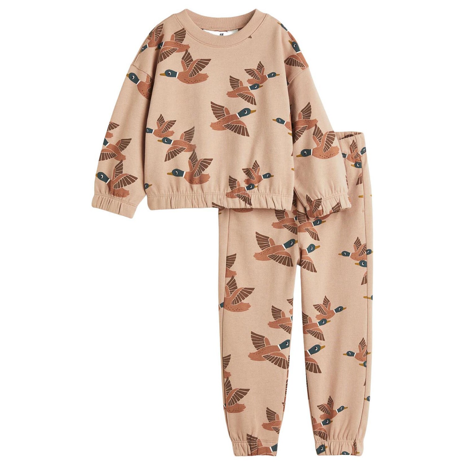 

Спортивный комплект H&M Cotton Sweatshirt Mallards, бежевый